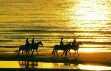 Horse riding on the Beach